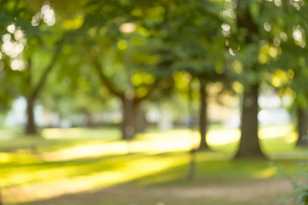 Lkbahar Yaz Mevsiminde Parkın Odaklı Olmayan Arka Planı Yürüyen Insanları — Stok fotoğraf