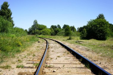 Kıvrımlı demiryolu hattı rüzgarlar yol ağaçlar ve ormanlar.