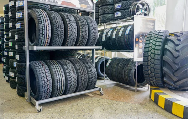 Una Gran Cantidad Nuevos Neumáticos Invierno Modernos Tienda Neumáticos Fondo —  Fotos de Stock