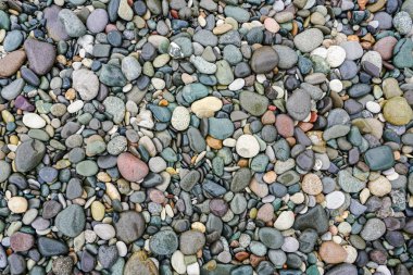 A lot of wet coloured pebbles on a shore for a background of natural material clipart