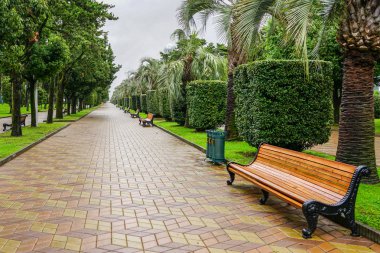 Sahil park parça turizm sezonu, Batum, Gürcistan dolduktan sonra yağmurda