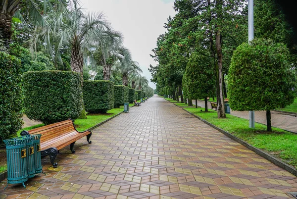 バトゥミ グルジア観光シーズンの終わりの後雨の海辺公園トラック — ストック写真