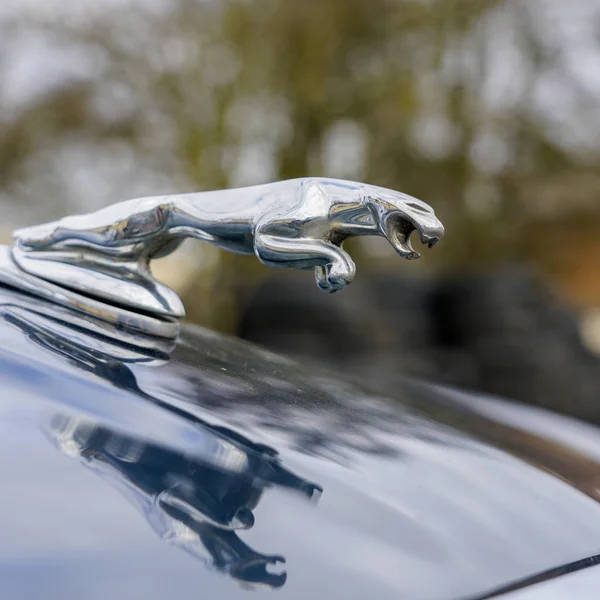 Emblema en el capó del coche, jaguar en el salto — Foto de Stock