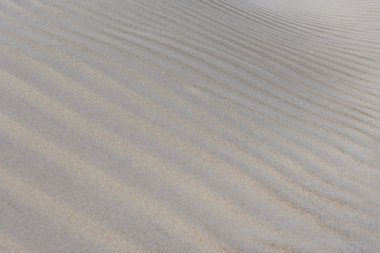 kum arka plan, Rüzgar oluşturulan rahatlama, Baltık deniz kıyısı