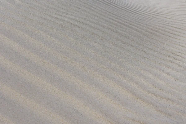 Фон піску, рельєф вітру, узбережжя Балтійського моря — стокове фото
