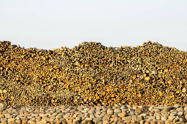 Piles of wooden logs under blue sky — Stock Image Piles of wooden logs under blue sky Stock Photo