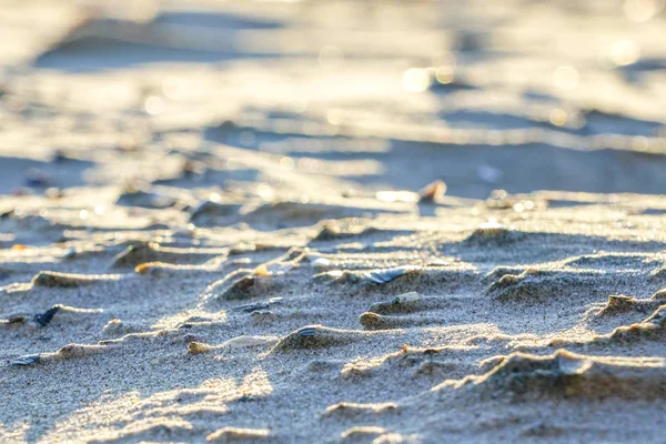 Мистецтво вітру, білі мушлі в піску на пляжі — стокове фото