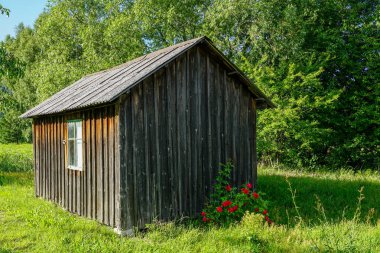 ön planda kırmızı çiçekler ile kırsal küçük ahşap ev