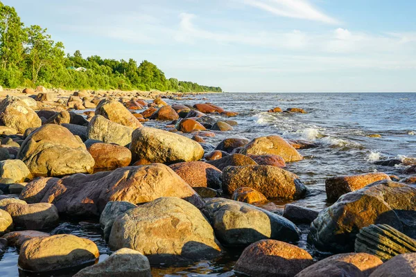 Скалистое побережье Балтийского моря в Рижском заливе — стоковое фото