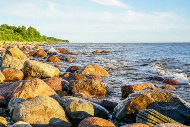 Riga Körfezi 'nde Baltık Denizi kayalık Sahili