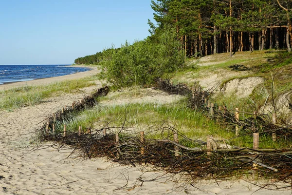 Wiklinowe ogrodzenia na plaży do zatrzymywania ruchu piasku i redukcja skutków działania człowieka — Zdjęcie stockowe