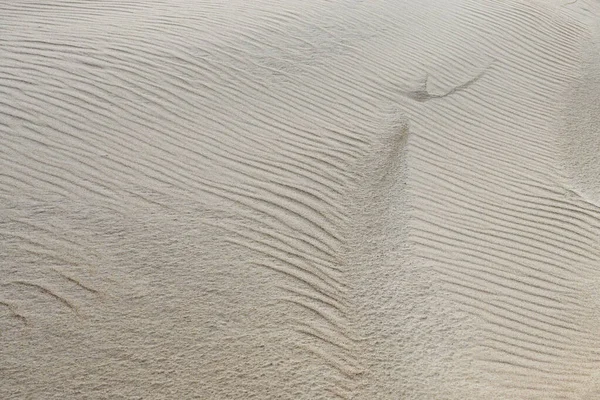 Результат гри вітру з піском на березі моря — стокове фото