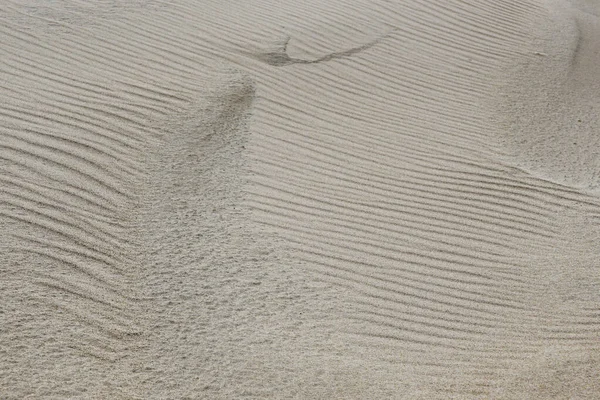 Resultado do jogo de vento com areia no litoral — Fotografia de Stock