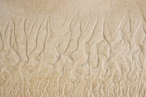 Ergebnis des Wind- und Wasserspiels mit Sand an der Küste — Stockfoto