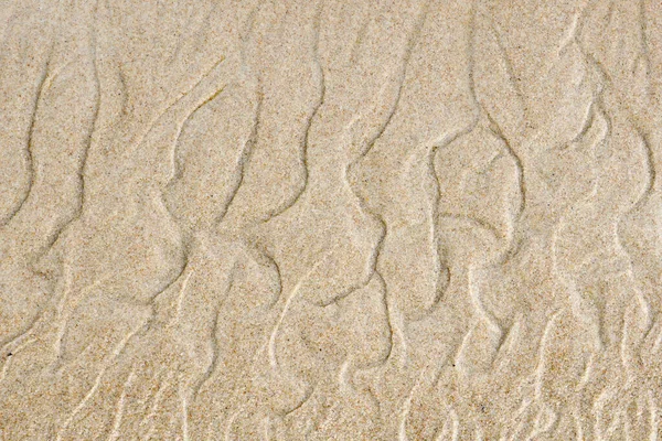 Resultado del juego de viento y agua con arena a orillas del mar — Foto de Stock