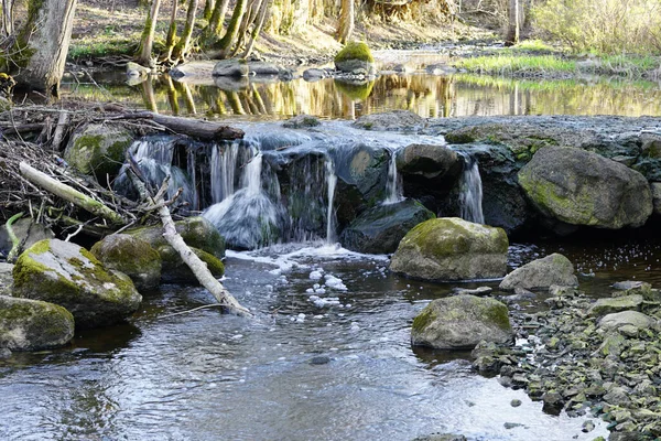 Bela Vista Uma Cachoeira Pequeno Rio Uma Área Arborizada — Fotografia de Stock