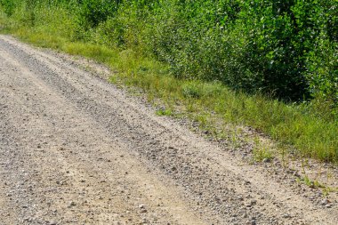 Dağınık taşlar, toprak raylar ve bereketli yeşil yol kenarı bitkileriyle dolu kırsal çakıl yolunun yakın çekimi yaz güneşi altında.