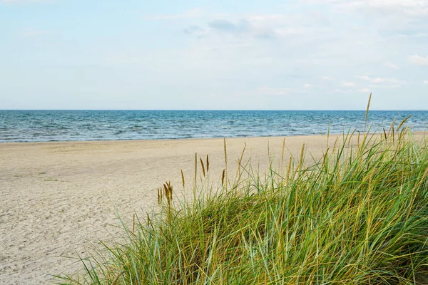 Sakin bir kumlu sahil manzarası, yeşil kumlu çimenler ve yumuşak mavi gökyüzü altında uzanan yumuşak deniz dalgaları, Baltık kıyı şeridi.