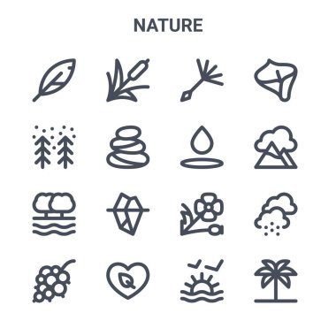 16 doğa konsept vektör çizgisi simgesi. 64x64 kamış, kış, dağ, haşhaş, çevre dostu, palmiye, günbatımı, su, zambak gibi ince vuruş simgeleri