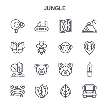 16 orman konsept vektör çizgisi simgesi. 64x64 İsviçre bıçağı, kelebek, şelale, jaguar, yapraklar, jip, yaprak, maymun, kamp çadırı gibi ince vuruş simgeleri