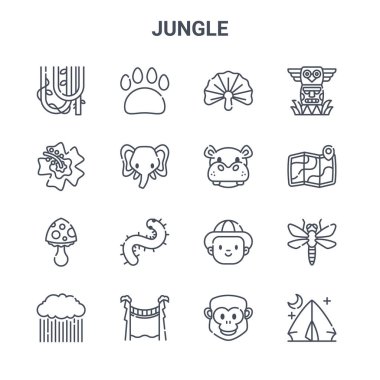 16 orman konsept vektör çizgisi simgesi. Pençe izi, çiçek, harita, insan, köprü, kamp çadırı, goril, su aygırı, totem gibi 64x64 ince vuruş simgeleri