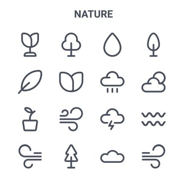 16 doğa konsept vektör çizgisi simgesi. 64x64 Ağaç, yaprak, hava, fırtına, ağaç, rüzgar, veri, yağmur, ağaç gibi ince vuruş simgeleri