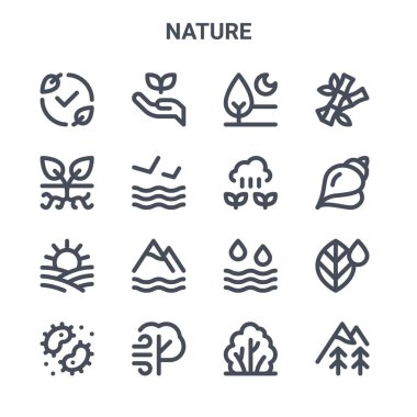 16 doğa konsept vektör çizgisi simgesi. 64x64 ekoloji, bitki, kabuk, su, rüzgar, dağ, çalı, bambu gibi ince vuruş simgeleri