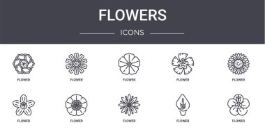 Çiçek konsepti simgeleri ayarlandı. Web, logo, çiçek, çiçek gibi simgeler içerir,