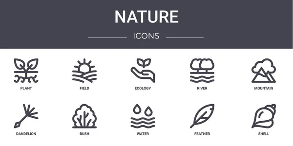 Naturaleza Concepto Línea Iconos Conjunto Contiene Iconos Utilizables Para Web — Vector de stock