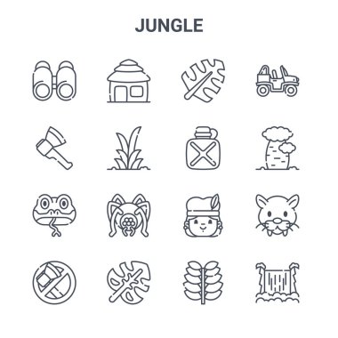 16 orman konsept vektör çizgisi simgesi. 64x64 İnce vuruş simgeleri: kulübe, balta, ağaç, kürtaj, yaprak, şelale, bitki, kantin, böcek