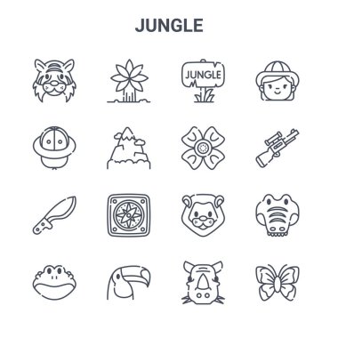 16 orman konsept vektör çizgisi simgesi. 64x64 İnce vuruş simgeleri: Avuç, şapka, tüfek, aslan, tukan, kelebek, gergedan, çiçek, kız