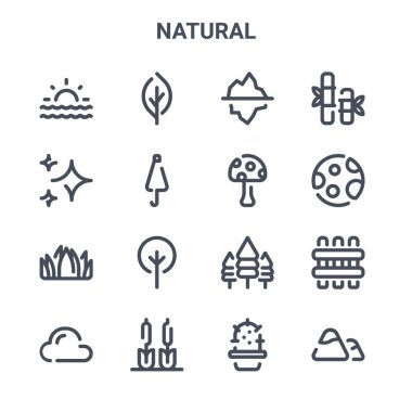 16 doğal konsept vektör çizgisi simgesi. 64x64 Yaprak, yıldızlar, ay, çam ağacı, sazlık yatak, dağlar, kaktüs, mantar, bambu gibi ince vuruş simgeleri