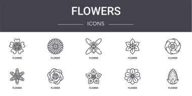 Çiçek konsepti simgeleri ayarlandı. Web, logo, çiçek, çiçek gibi simgeler içerir,