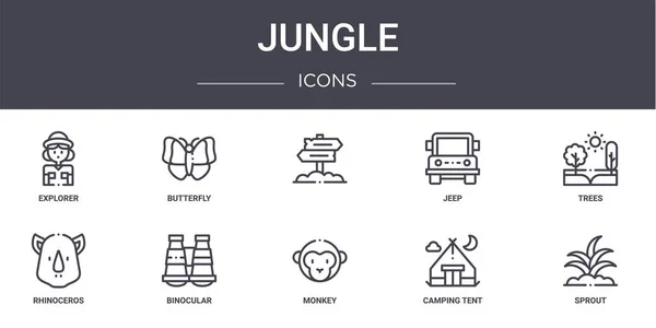 Jungle Concept Line Icons Set Contiene Iconos Utilizables Para Web — Vector de stock