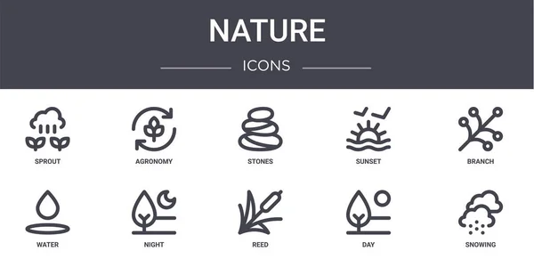 Naturaleza Concepto Línea Iconos Conjunto Contiene Iconos Utilizables Para Web — Vector de stock