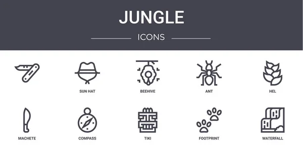 Jungle Concept Line Icons Set Contiene Iconos Utilizables Para Web — Vector de stock