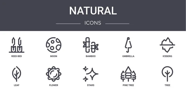 Conjunto Iconos Línea Concepto Natural Contiene Iconos Utilizables Para Web — Vector de stock