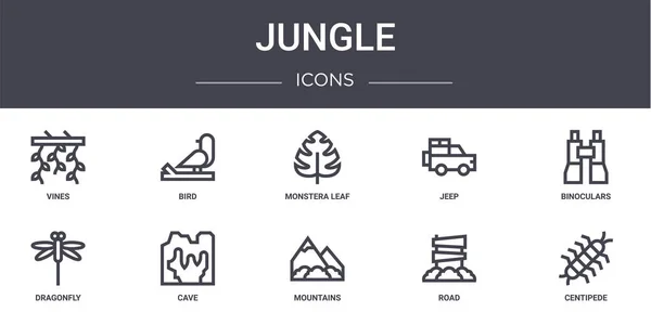 Jungle Concept Line Icons Set Contiene Iconos Utilizables Para Web — Vector de stock