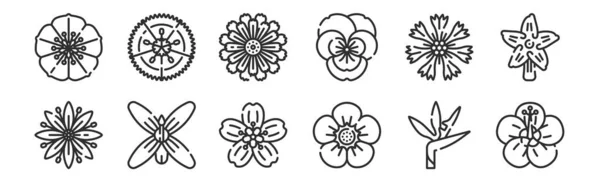 Jeu Icônes Contour Minces Telles Que Fleur Fleur Fleur Pour — Image vectorielle