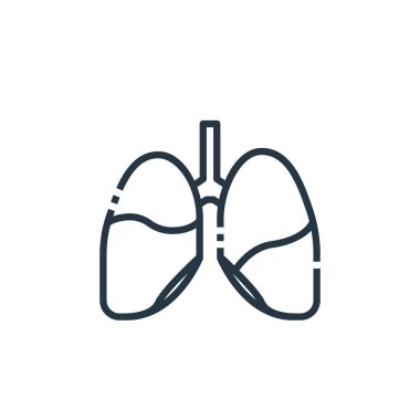 Akciğer vektör simgesi. Akciğerler düzenlenebilir felç. Akciğer lineer sembolü web ve mobil uygulamalarda, logoda, yazdırma ortamında kullanılır. İnce çizgili çizim. Vektör izole çizimi.