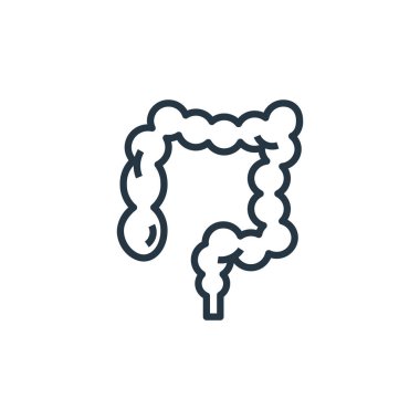 kolon vektör simgesi. Kolon düzenlenebilir felç. İnternet ve mobil uygulamalarda kullanmak için kolon doğrusal sembolü, logo, yazdırma ortamı. İnce çizgili çizim. Vektör izole çizimi.