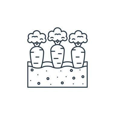 Havuç vektör simgesi. Havuç inmesi. Web ve mobil uygulamalarda kullanmak için havuç doğrusal sembolü, logo, yazdırma medyası. İnce çizgili çizim. Vektör izole çizimi.