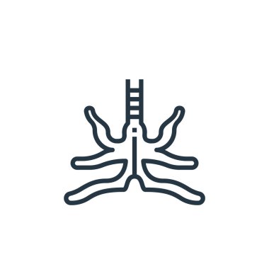 Bronchus vektör simgesi. Bronşlar düzenlenebilir felç. Ağ ve mobil uygulamalarda, logoda ve yazılı medyada kullanmak için bronşlar doğrusal sembol. İnce çizgili çizim. Vektör izole çizimi.