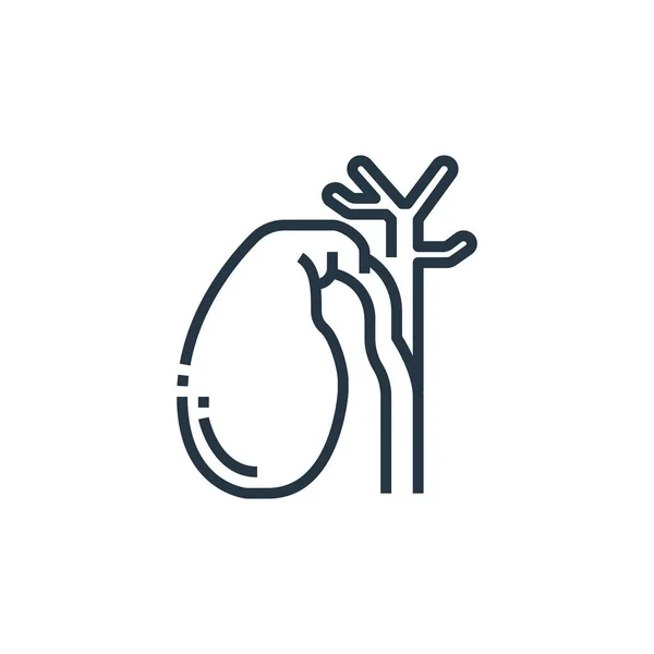 胆嚢ベクトルアイコン 胆嚢編集可能な脳卒中 Webおよびモバイルアプリ 印刷メディアで使用するための胆嚢リニアシンボル 細い線のイラスト ベクトル絶縁外形図面 — ストックベクタ