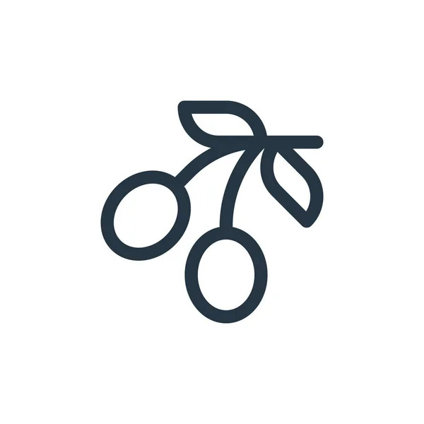 Оливки Векторна Іконка Маслини Які Можна Змінювати Оливки Лінійний Символ — стоковий вектор