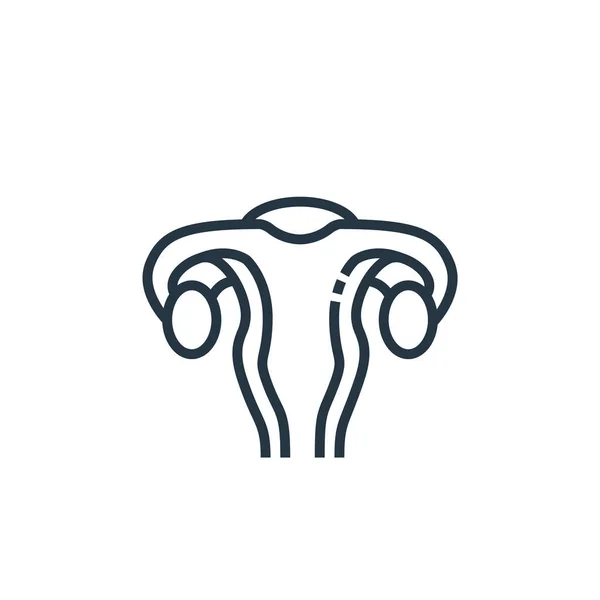 Gebärmuttervektorsymbol Uterus Editierbarer Schlaganfall Lineares Symbol Der Gebärmutter Zur Verwendung — Stockvektor