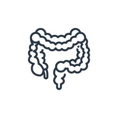 Bağırsak vektör simgesi. Bağırsak düzenlenebilir felç. İnternet ve mobil uygulamalarda kullanmak için barsak doğrusal sembolü, logo, yazdırma medyası. İnce çizgili çizim. Vektör izole çizimi.