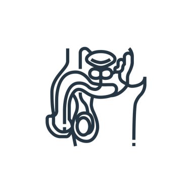 Üreme vektör simgesi. Çoğaltılabilir felç. Web ve mobil uygulamalarda, logoda ve yazılı medyada kullanmak için üretici doğrusal sembol. İnce çizgili çizim. Vektör izole çizimi.