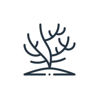 mercan vektör simgesi. Kurcalanabilir mercan felci. Web ve mobil uygulamalarda kullanmak için mercan doğrusal sembolü, logo, yazdırma medyası. İnce çizgili çizim. Vektör izole çizimi.