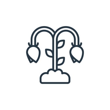 bitki vektör simgesi. bitkisel inme. Web ve mobil uygulamalarda, logoda, yazdırma ortamında kullanılmak üzere bitki doğrusal sembolü. İnce çizgili çizim. Vektör izole çizimi.